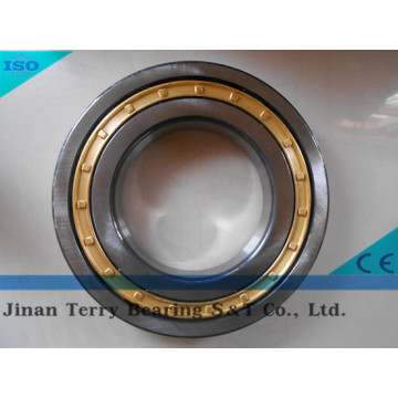 The Low Noice Cylindrical Roller Bearing (NU304E)
